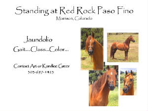 standing_at___red_rock_paso_fino.jpg